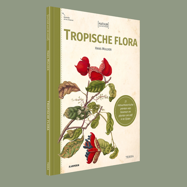 Tropische flora - 3D in kleurvlak TerraLannoo